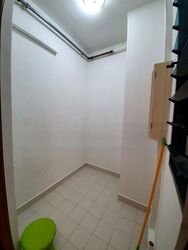 Tanglin View (D3), Condominium #460981371